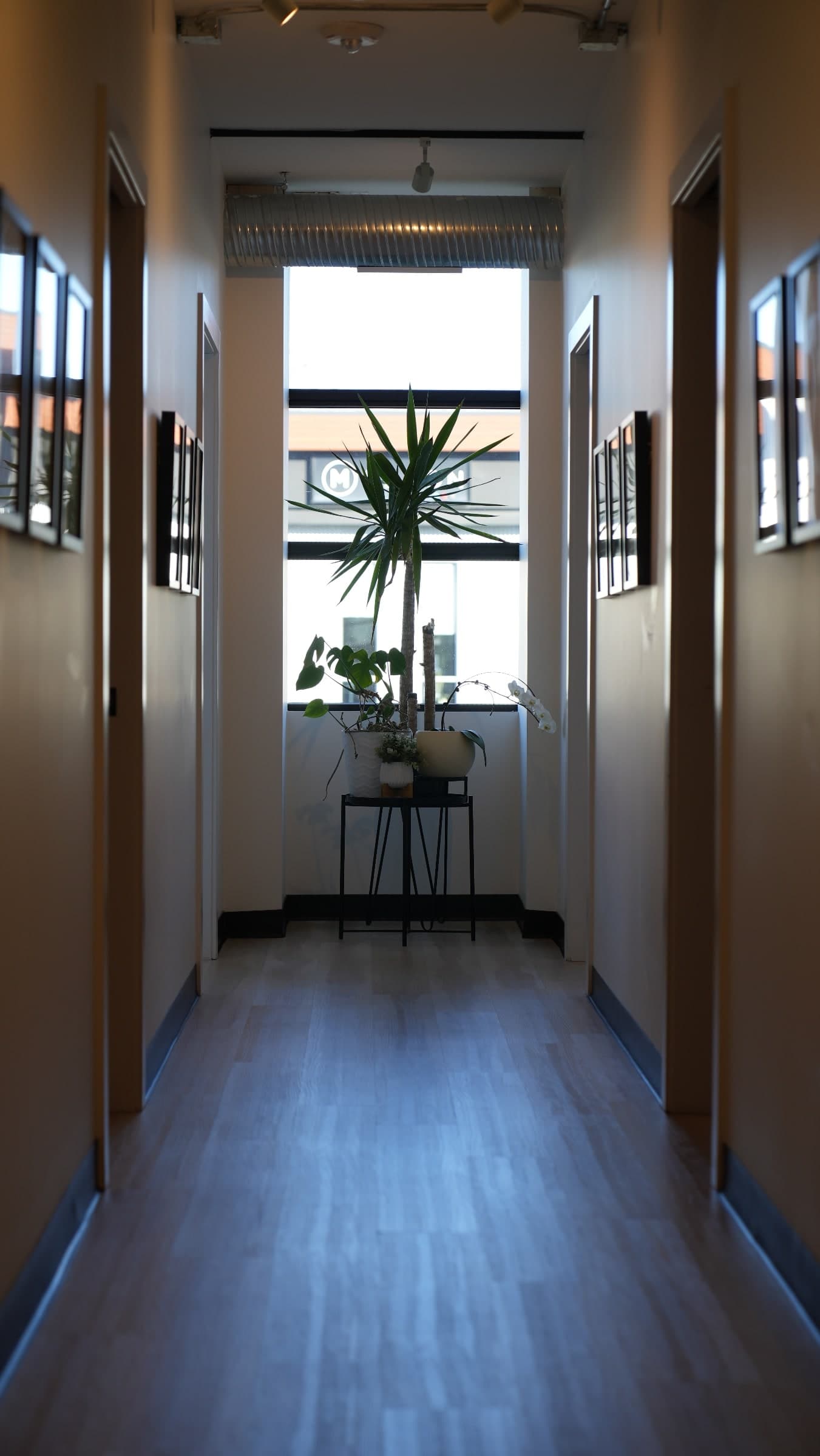 Hallway with light wood-look flooring, framed prints on both walls, and a tall potted yucca and other plants on a black stand in front of a window at the end